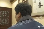国产秦先生,探寻中国汽车工业的崛起之路